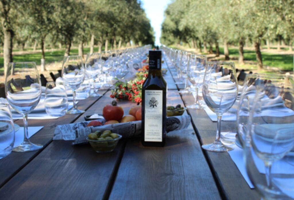 Olive Oil Tasting in Mallorca