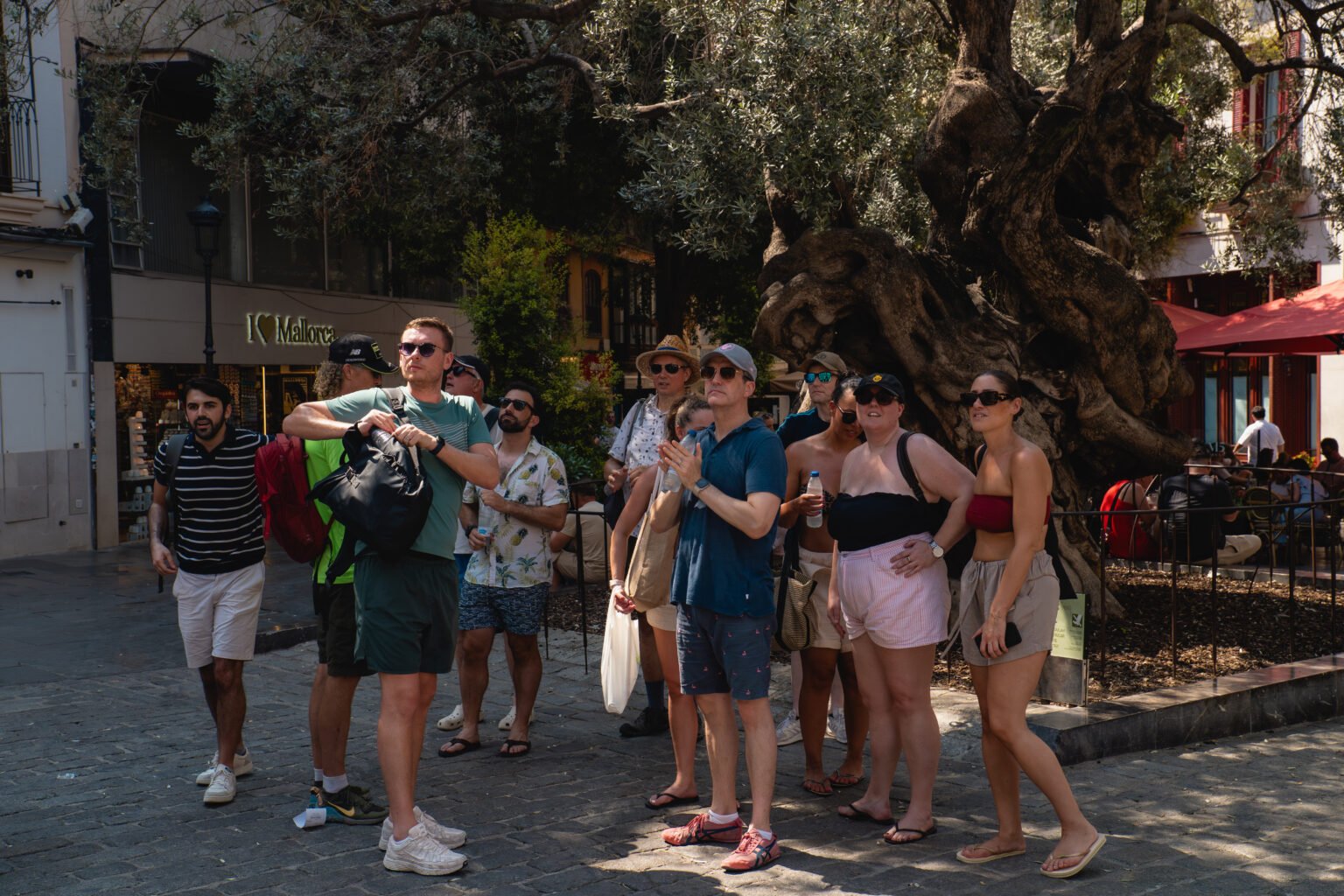 Business Travel in Mallorca