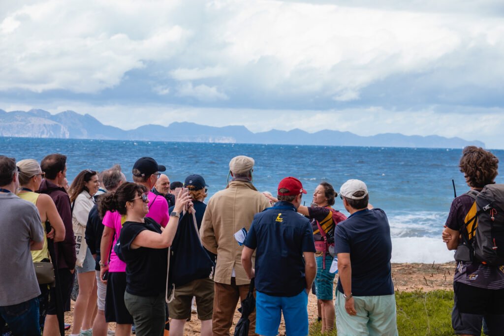 Work Retreats Mallorca