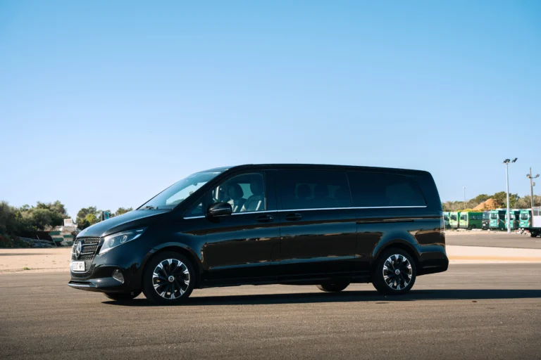 Executive & VIP Transfers​