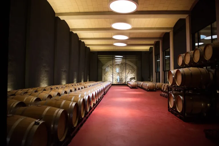 Bodegas &amp; Weingüter