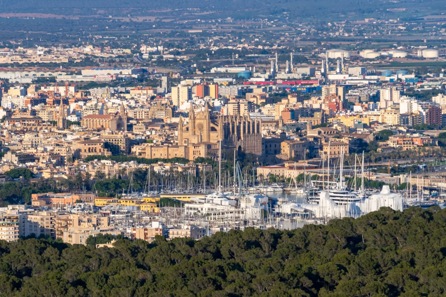 MICE-Agentur Mallorca ​ - Insiders Mallorca